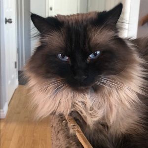 Meet your Posher, Kellie